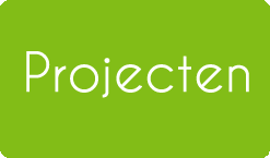 Projecten